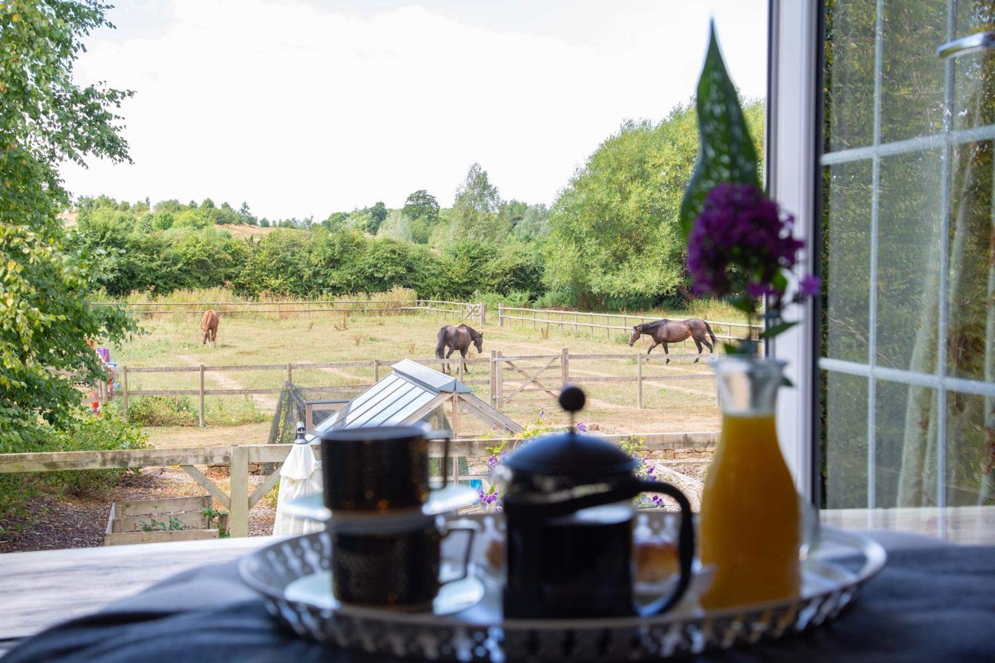 Cherry Orchard Farm South Wraxall Phòng bức ảnh
